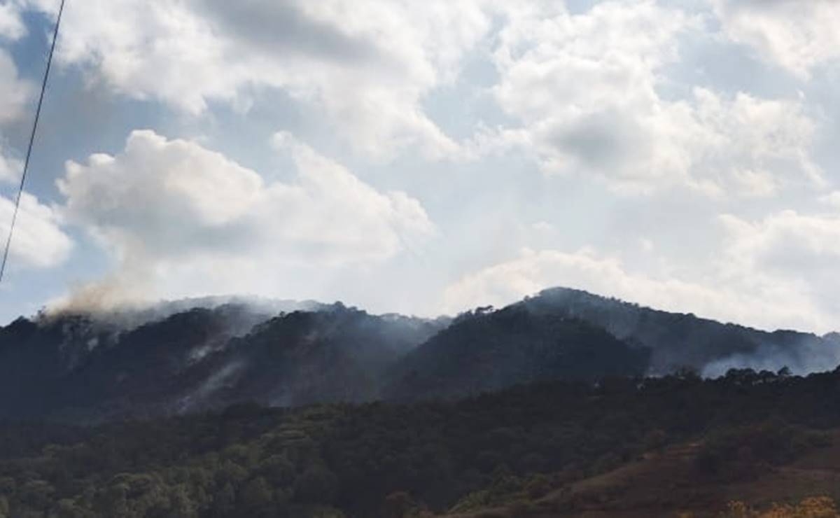 Gobierno de Oaxaca pide pacto de paz entre organizaciones triquis para atender incendio