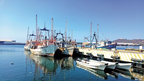 Altos costos del diésel detienen a camaroneros de Oaxaca