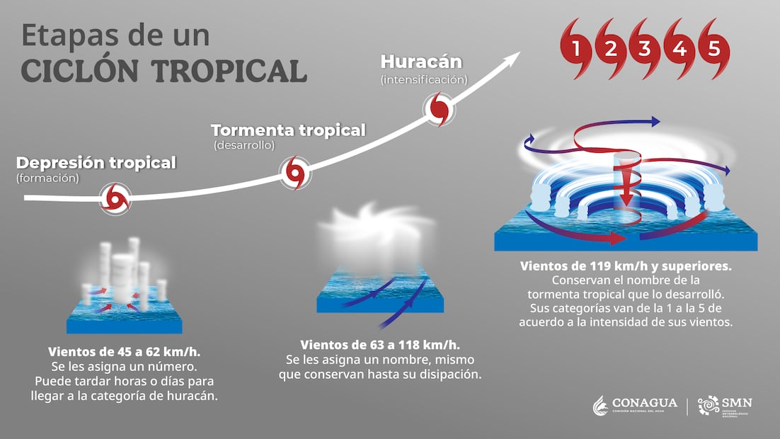 Los huracanes son la forma más intensa de los ciclones tropicales, es decir movimientos atmosféricos caracterizados por vientos que giran con gran rapidez.  Foto: Gobierno de México