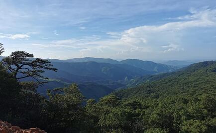 Rechazan mina en selva de Los Chimalapas; piden a Semarnat negar permiso de exploración
