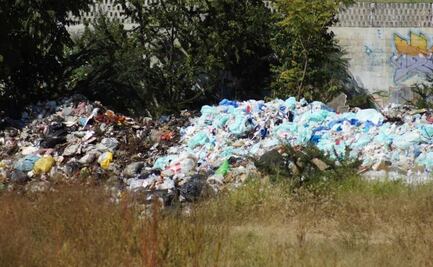 Anuncia Murat terreno de fábrica de triplay como sitio temporal para basura de la ciudad de Oaxaca