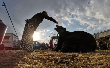 Yogui y Rayas, estrellas del Circo del Oso Ruso, reciben donaciones para enfrentar la pandemia