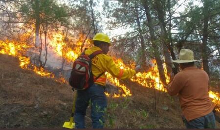 Aumentan número de incendios este 2019