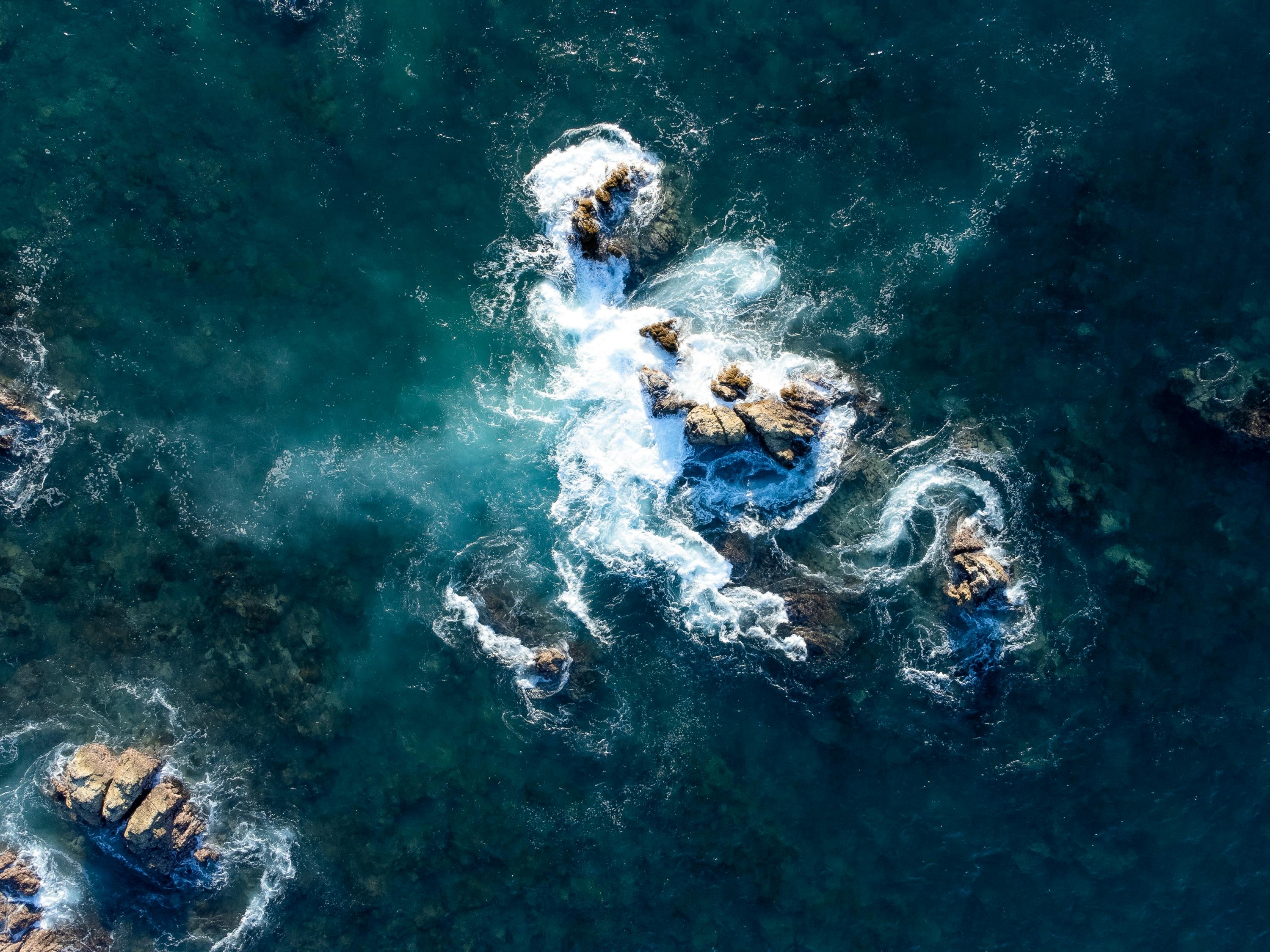 Foto: Pexels - David Arenas.