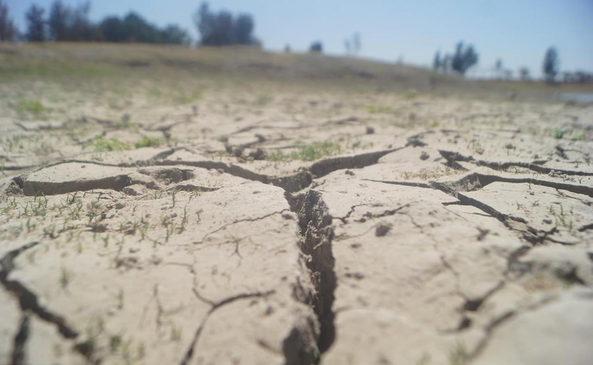 Atraviesan 59 municipios de Oaxaca sequía extrema; Mixteca y Sierra Sur, las más afectadas