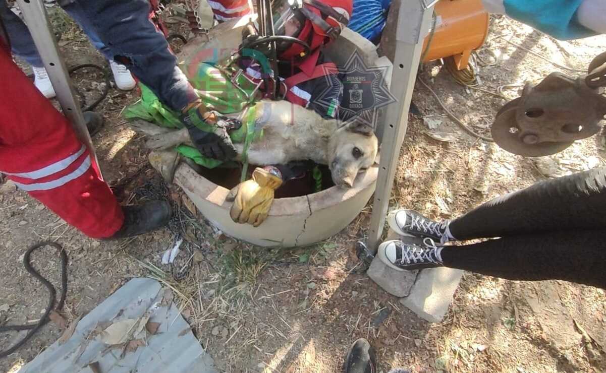 Bomberos rescatan a Fermín, perrito que cayó a un pozo de 20 metros de profundidad en Oaxaca. Fotos: Especiales