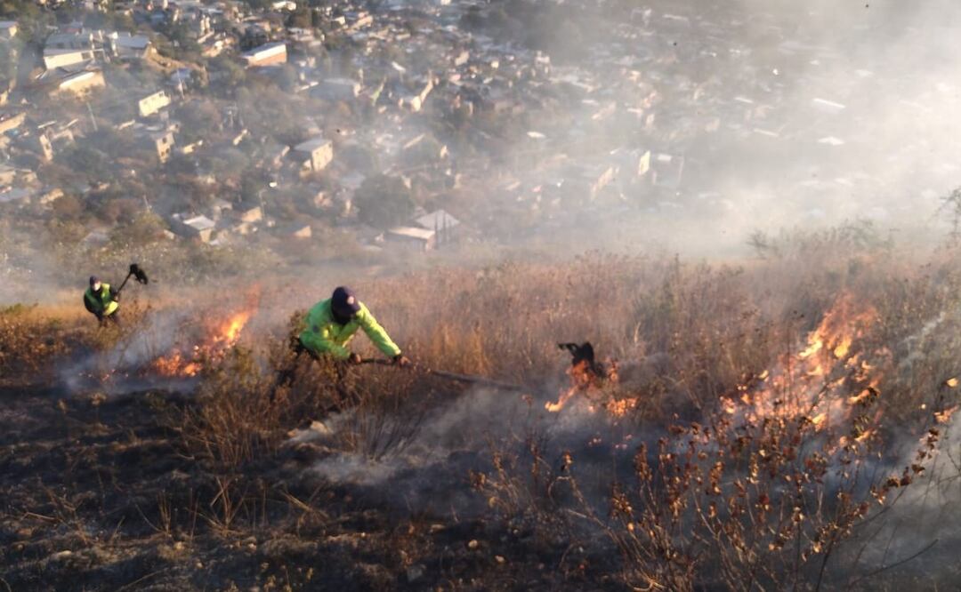 Reportan nuevo incendio en Xoxo, en polígono de Zona Arqueológica de Monte Albán, en Oaxaca. Foto: