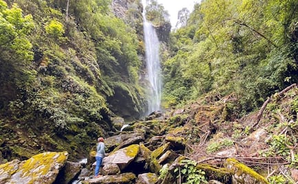 La Cascada de Niebla: El secreto ecoturístico escondido en la Sierra Norte de Oaxaca