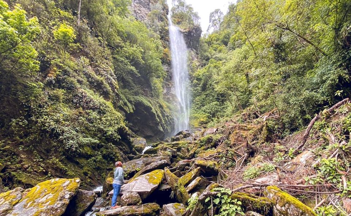 La Cascada de Niebla: El secreto ecoturístico escondido en la Sierra Norte de Oaxaca