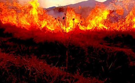 Capacitará Conafor a 70 brigadistas que atienden incendios en Los Chimalapas, Oaxaca