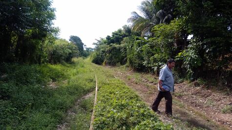 Por rehabilitación de Tren Transístmico de AMLO, 500 familias temen desalojos