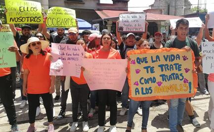 Tras denuncias sobre maltrato a perritos en Juchitán, fiscalía de Oaxaca indaga delito de crueldad animal