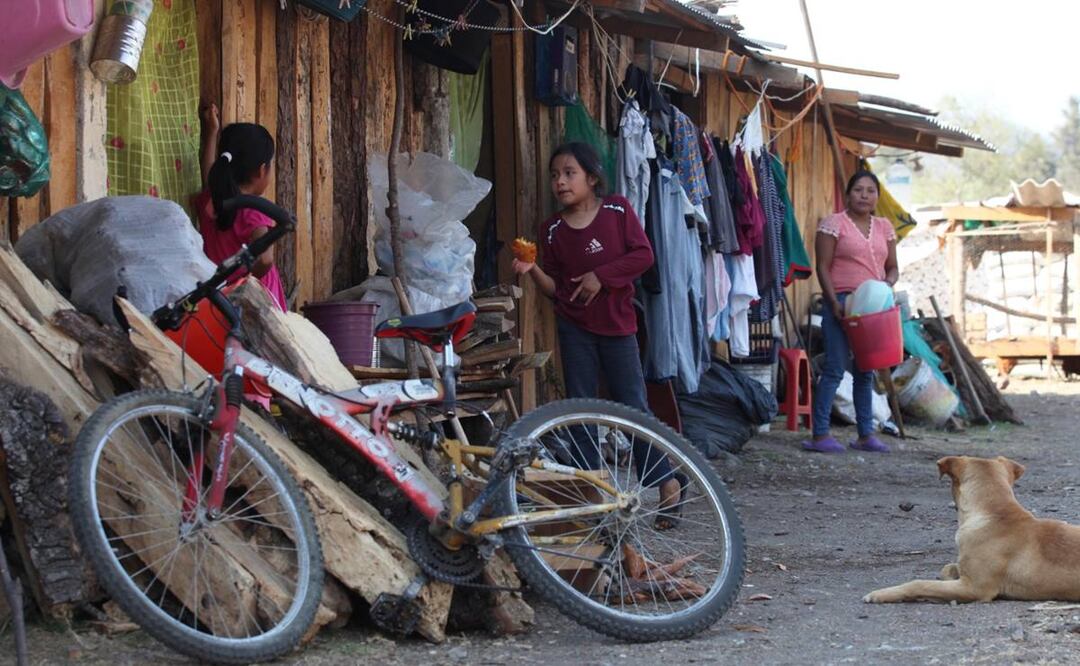 Foto: Edwin Hernández