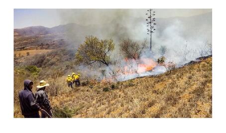 Impiden a brigadas oficiales combatir incendio en Chimalapas