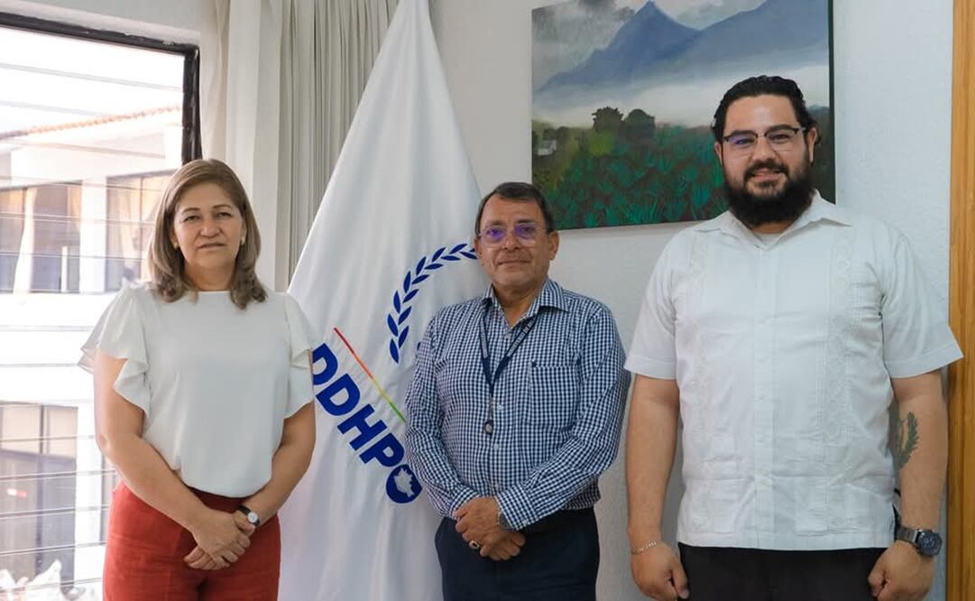 Denuncian despido ilegal por maternidad de abogada indígena de Consulado de Guatemala en Oaxaca. Foto: Especial