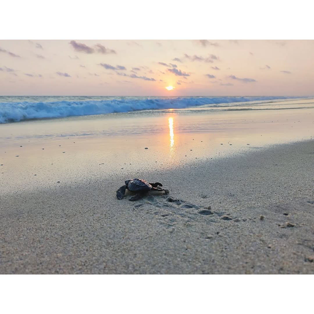 La Ventanilla. Foto: elcauvoierrante
, Instagram