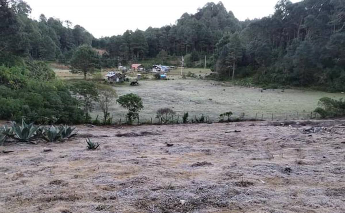 Viven la Mixteca de Oaxaca temperaturas de hasta – 5° C; vigilan a 39 municipios por frío