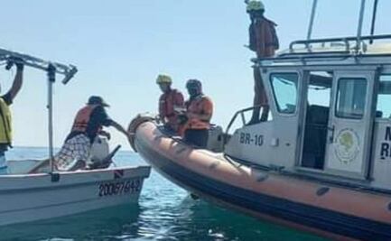 Vuelven ballenas a la Costa de Oaxaca; rescatan a una que estaba atrapada en malla