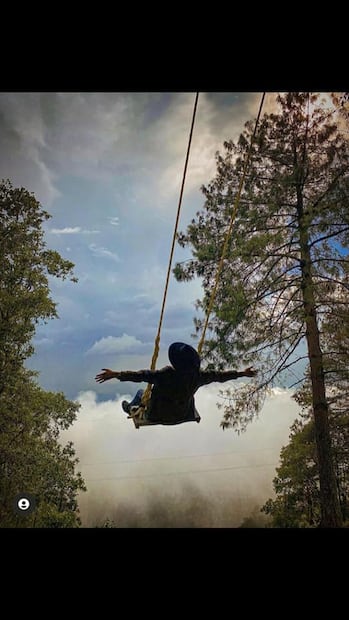 El Bosque Encantado en Oaxaca. Foto: Fb@ El bosque encantado.