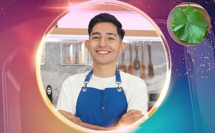 ¿La hoja santa cruda es tóxica? Chef en Proceso consulta a cocinera de Oaxaca y esto dijo