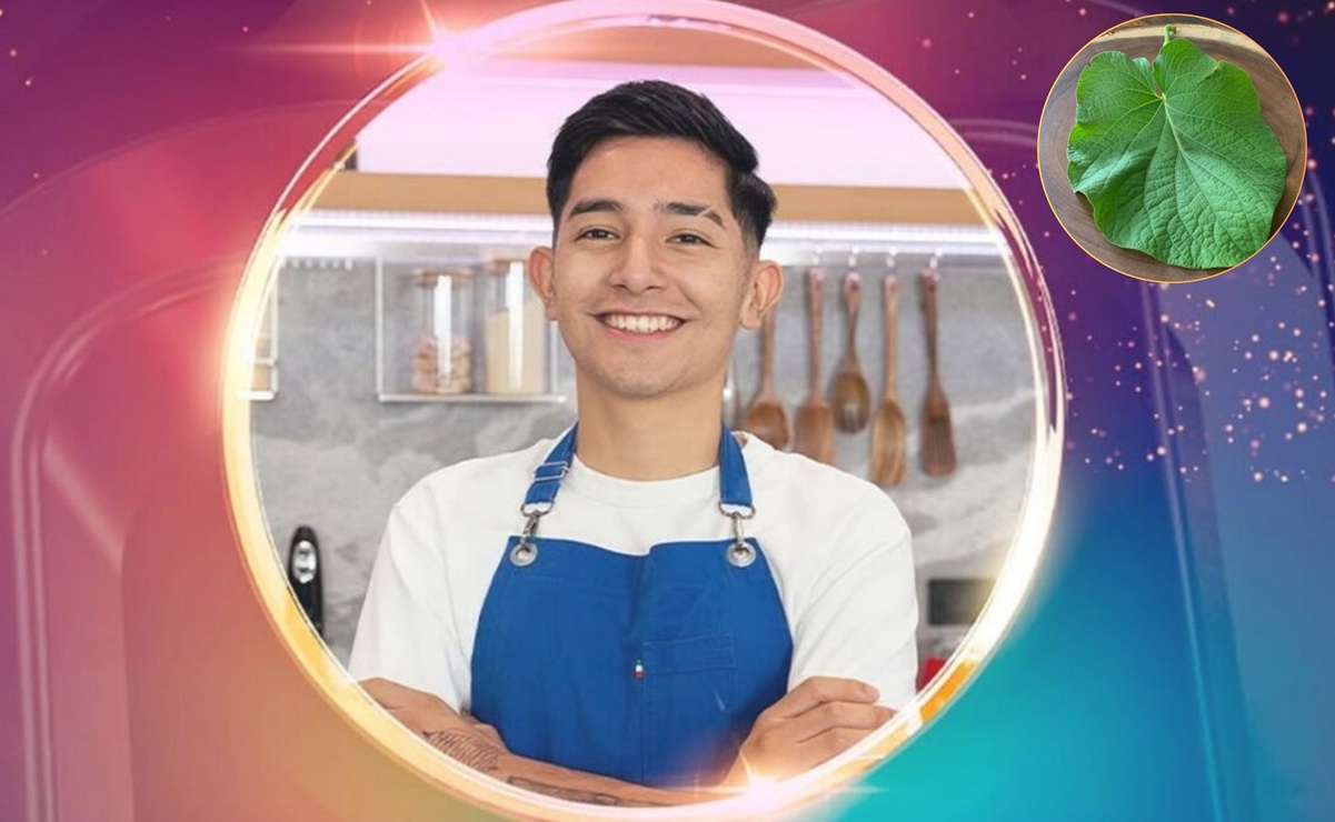 Hoja santa: la polémica en MasterChef y la verdad detrás de su uso. Foto: ADN40.