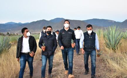 Asegura Oaxaca alianzas para fortalecer cadena productiva del mezcal