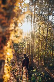 San José del Pacífico, Oaxaca, el bosque mágico de los Duendes y de las Hadas