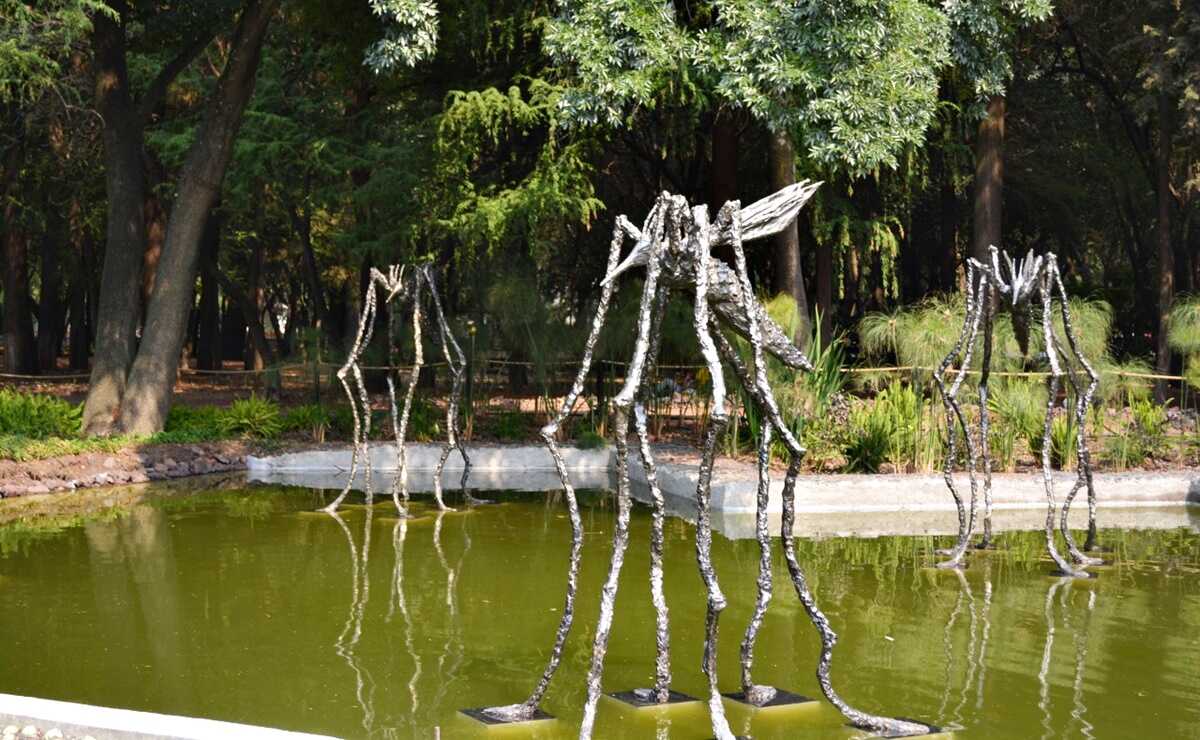 Con insectos gigantes, un artista de Oaxaca conquista Chapultepec y fomenta el respeto por la naturaleza