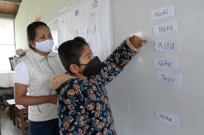 Del 20 al 31 de diciembre, periodo vacacional para educación básica en Oaxaca: IEEPO