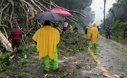 Alerta CEPCO sobre falsos gestores y fraudes en declaratorias de desastre
