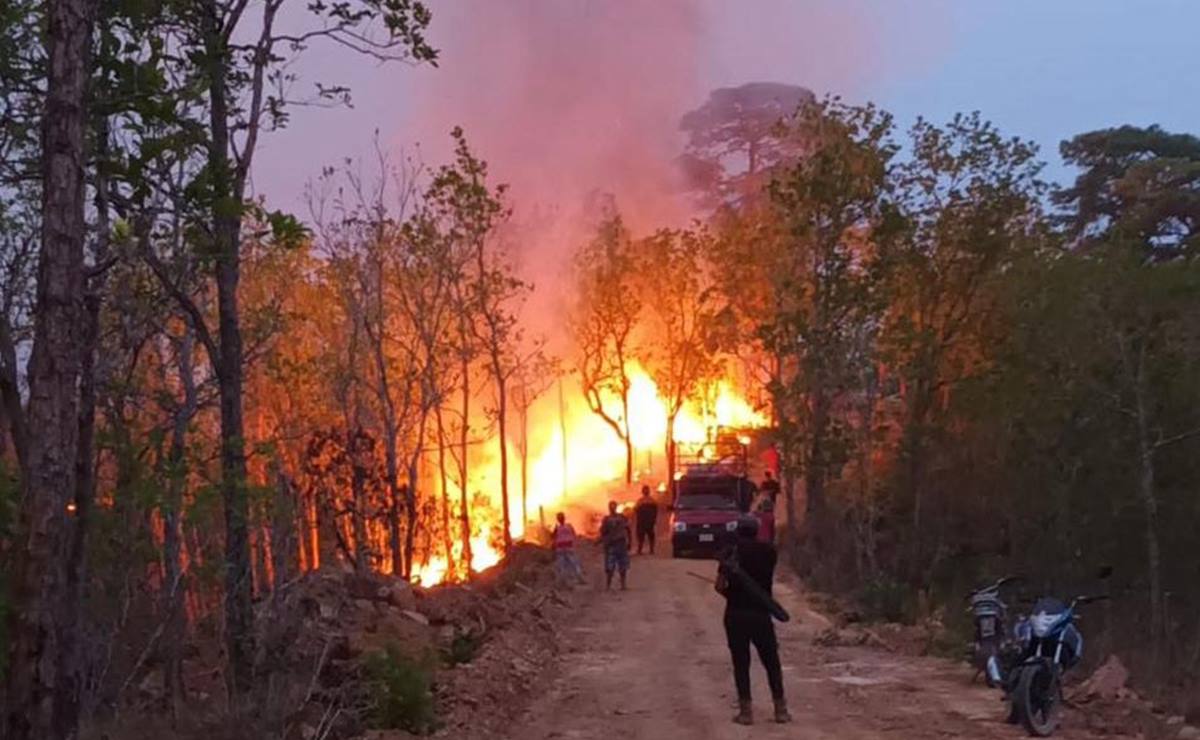 Incendio en Los Chimalapas amenaza selva virgen en Oaxaca; helicóptero ...