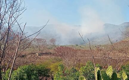 Incendio forestal en Tilantongo y Tataltepec, Oaxaca, se propaga pese a esfuerzos de la comunidad y autoridades