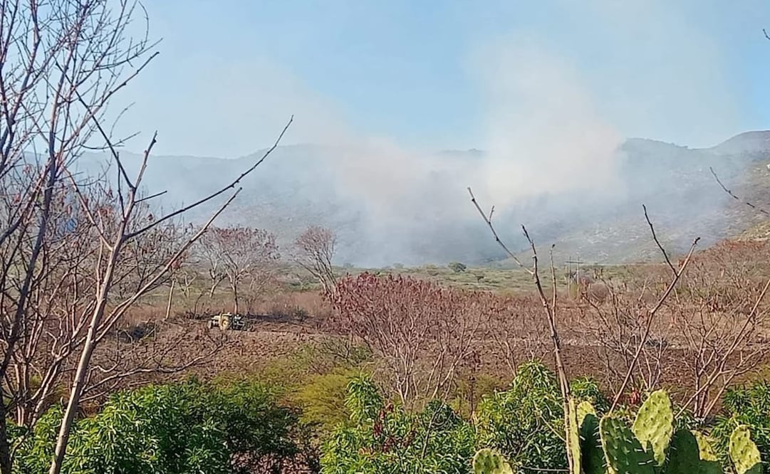 El incendio forestal se registra entre los límites de Tilantongo y Tataltepec, Oaxaca. Foto: Especial