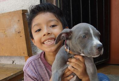 Juchitán: “Princesa” y Asaf le sonríen a la adversidad