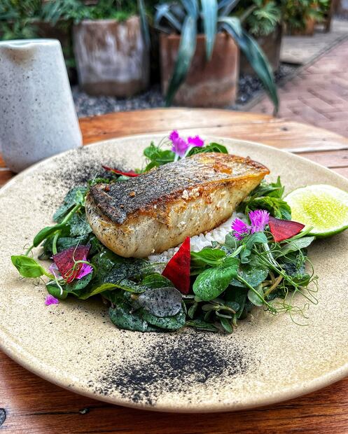 Alambiq en Oaxaca. Foto: Alambiq, FB