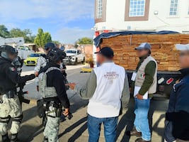 Aseguran más de 7 mil metros cúbicos de madera ilegal en Oaxaca