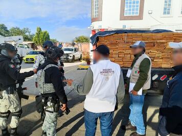 Aseguran más de 7 mil metros cúbicos de madera ilegal en Oaxaca