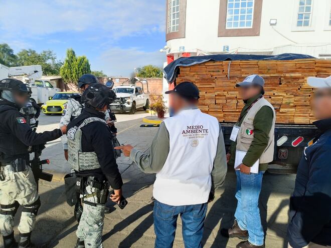 Aseguran más de 7 mil metros cúbicos de madera ilegal en Oaxaca