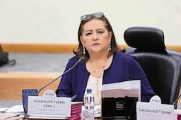 Guadalupe Taddei presenta su renuncia al INE ante la Cámara de Diputados tras escándalo de presunta corrupción