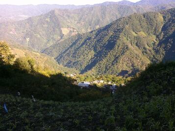 Yetzalalag, en la Sierra Norte de Oaxaca, no permitirá instalación de casillas; exige reubicar a 115 familias