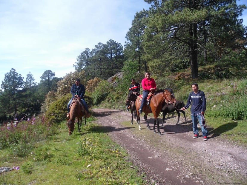 Foto: FB@Ecoturismo Cuajimoloyas Yaa- cuetzi