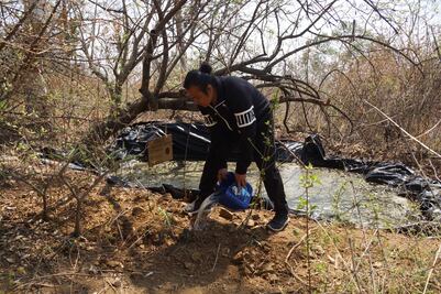 El animalista que busca revivir el cerro del Fortín