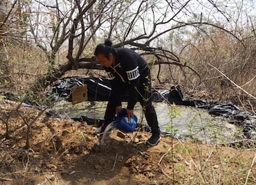 El animalista que busca revivir el cerro del Fortín