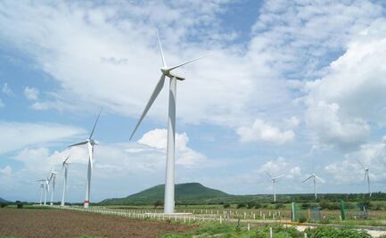 Interoceánico: para comprar tierras prometieron fábricas y empleos en Oaxaca; AMLO anuncia eólicas