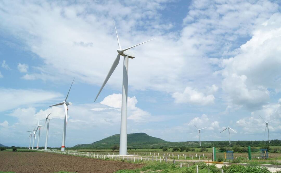 Foto: Edwin Hernández