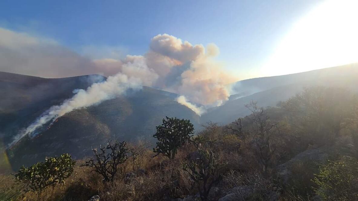Se reactiva incendio en Tepelmeme: reportan fuego sin control en zona de reserva ecológica en Oaxaca