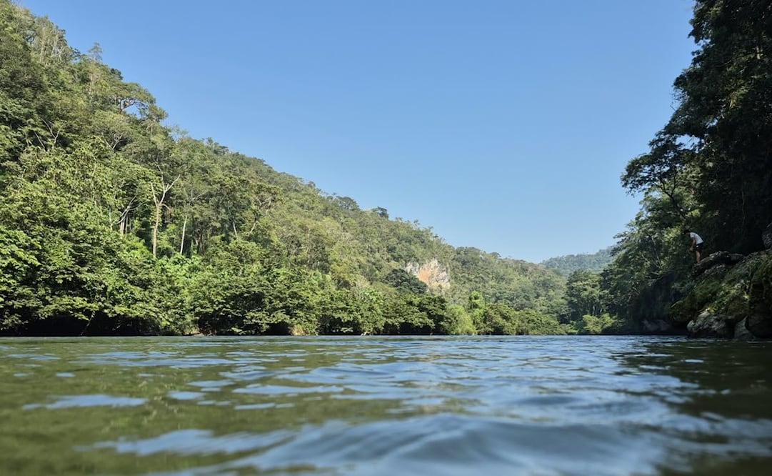 Chimalapas buscan proteger el río El Corte. Foto: Especial