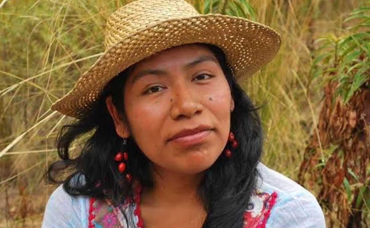 A más de un año de su desaparición, no hay rastro de Irma Galindo, defensora de los bosques de Oaxaca