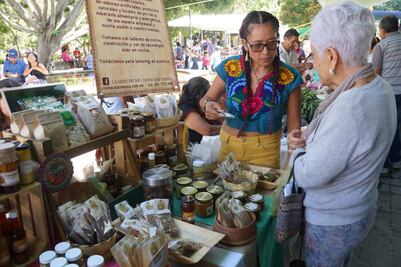 Productores de amaranto, por la soberanía alimentaria