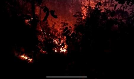 Declaran Emergencia en Ayutla Mixe tras incendio que devastó más de 80 hectáreas de bosque